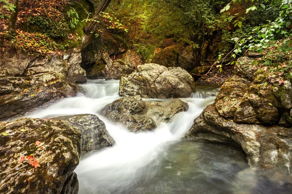 Landschap berg rivier in het bos. — Stockfoto