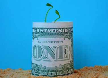 Bir dolarlık banknot, yerde büyümeye başlayan bir bitki ve bir yatırımın büyümesini sembolize eden mavi bir gökyüzü arka planına sarılmış.