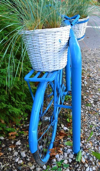 Visão Traseira Uma Bicicleta Azul Com Uma Cesta Branca Qual — Fotografia de Stock