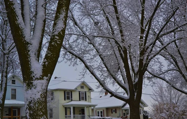 Paisaje Invernal Con Varios Árboles Nevados Primer Plano Casas Nevadas — Foto de Stock