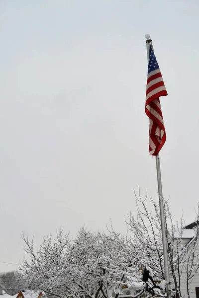 Paisaje Invernal Con Varios Árboles Casas Nevadas Una Bandera Americana Fotos De Stock