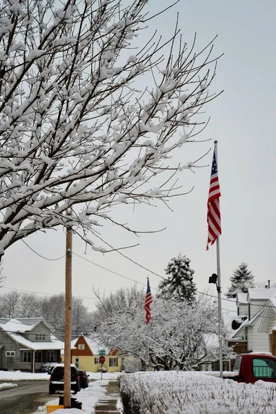 Vinterlandskap Med Flera Träd Och Snöiga Hus Och Amerikansk Flagga Royaltyfria Stockbilder