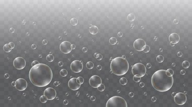 Soap or Air Bubbles on Transparent Background