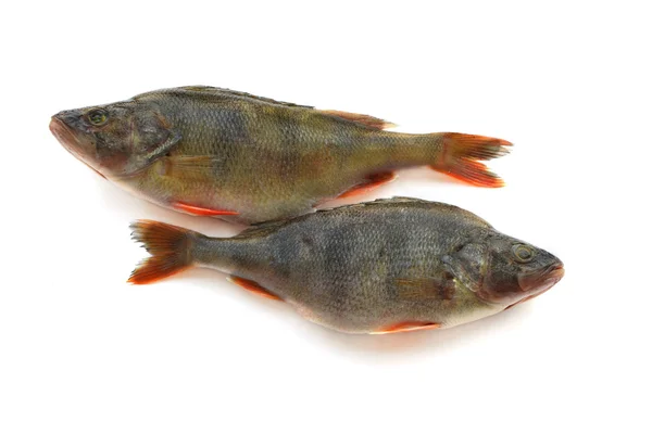 İki algılamak izole