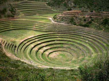 Moray