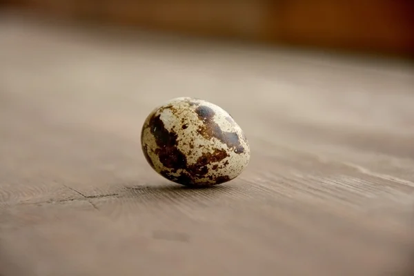 Bıldırcın yumurta