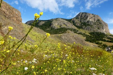 Bir yaz gününde dağlarda