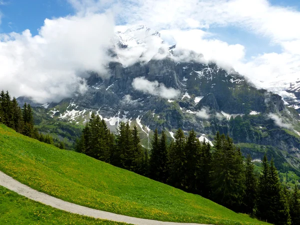 Alpes suizos — Foto de Stock