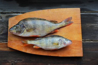 İki algılamak uçtan uca