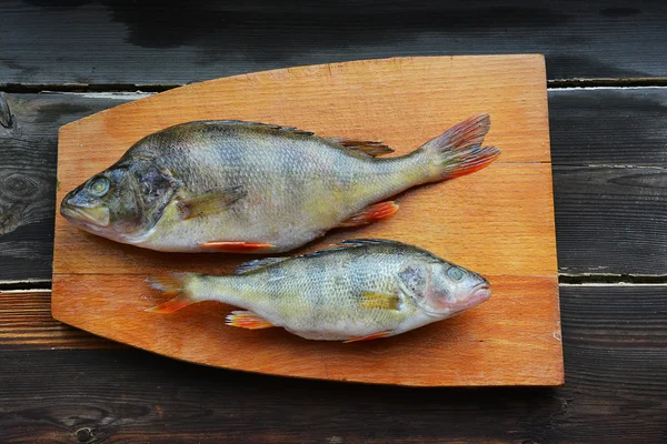 İki algılamak uçtan uca