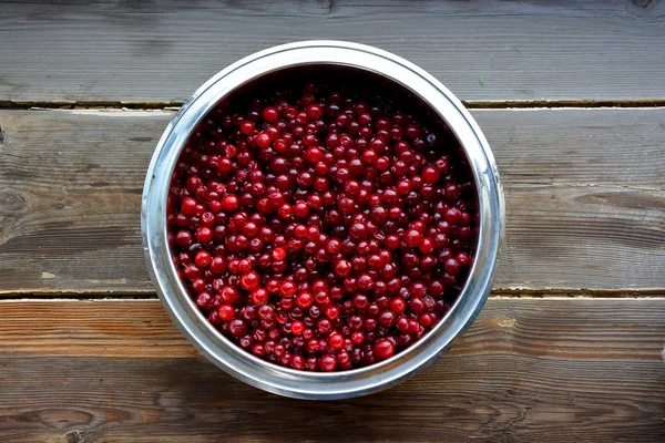 Preiselbeeren — Stockfoto