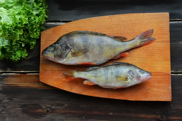 İki algılamak marul ile sona