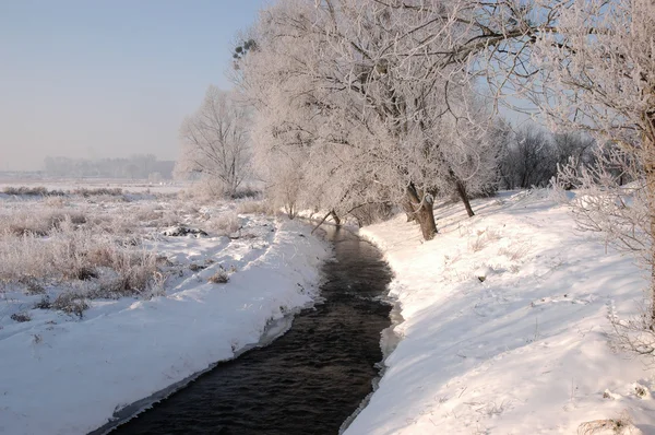 Paisaje invierno — Foto de Stock