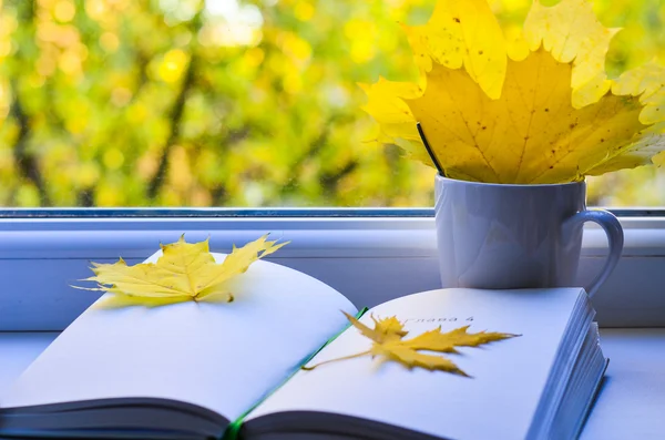 Kitapla dolu bir hayat