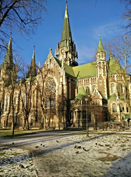 Lviv şehir sahne çok yakın — Stok fotoğraf