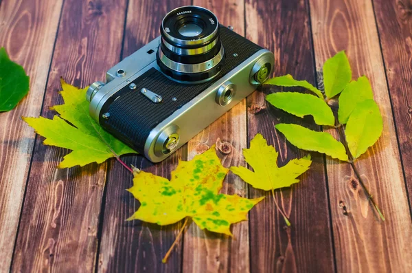 Herbst Saison Blätter Zusammensetzung — Stockfoto