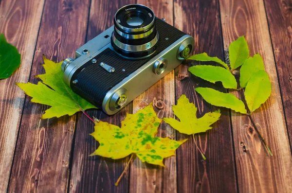 Herbst Saison Blätter Zusammensetzung — Stockfoto