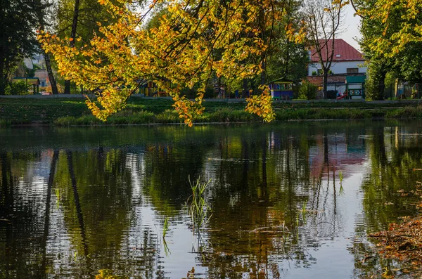 Krajina Podzimním Parkem Slunečného Dne Žluté Zelené Stromy Jsou Zobrazeny — Stock fotografie