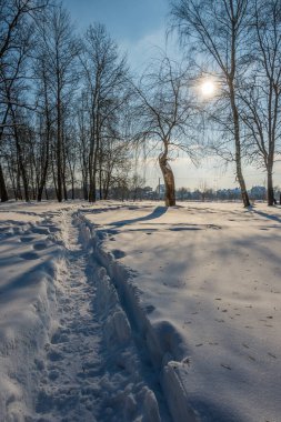 Kış mevsiminde soğuk ormanda güneşli bir gün. Ormanlı manzara ve kar ve temiz gökyüzü ile mükemmel güneş ışığı. Kar şekilleri ve gölgelerin beatafatlı kontrastı