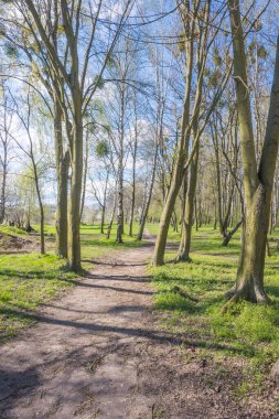 Lviv şehri bahar başlarında kıvılcım saçar.