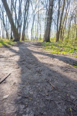 Lviv şehri bahar başlarında kıvılcım saçar.