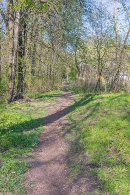 Lviv şehri bahar başlarında kıvılcım saçar.