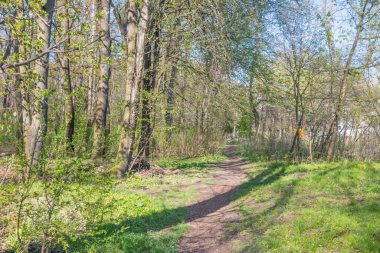 Lviv şehri bahar başlarında kıvılcım saçar.