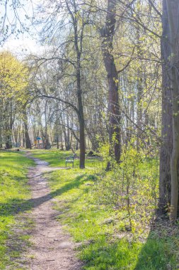 Lviv şehri bahar başlarında kıvılcım saçar.