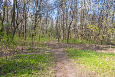 Lviv şehri bahar başlarında kıvılcım saçar.