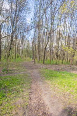 Lviv şehri bahar başlarında kıvılcım saçar.