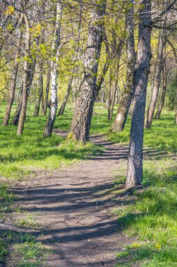 Lviv şehri bahar başlarında kıvılcım saçar.