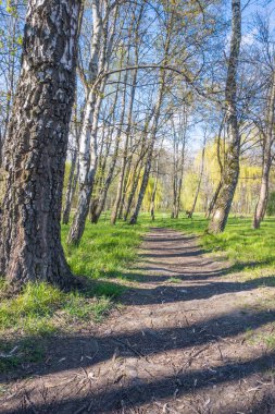 Lviv şehri bahar başlarında kıvılcım saçar.