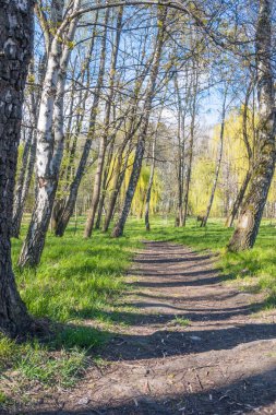 Lviv şehri bahar başlarında kıvılcım saçar.