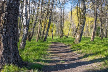 Lviv şehri bahar başlarında kıvılcım saçar.