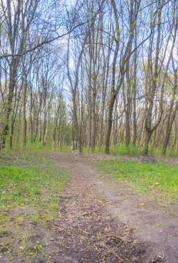 Lviv şehri bahar başlarında kıvılcım saçar.