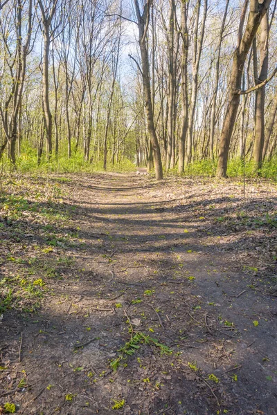 Lviv City Spark Early Spring Season — Stock Photo, Image