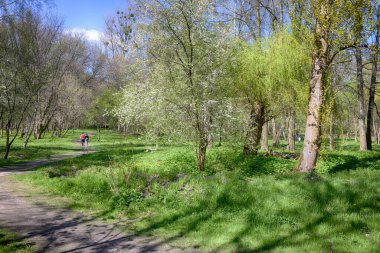 Lviv şehri bahar başlarında kıvılcım saçar.