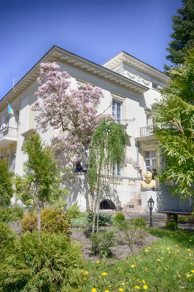 Lviv City Old Architecture Spring Season — Stock Photo, Image