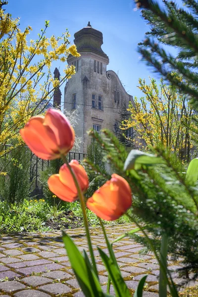 Lviv Şehri Bahar mevsiminde Eski Mimarlık