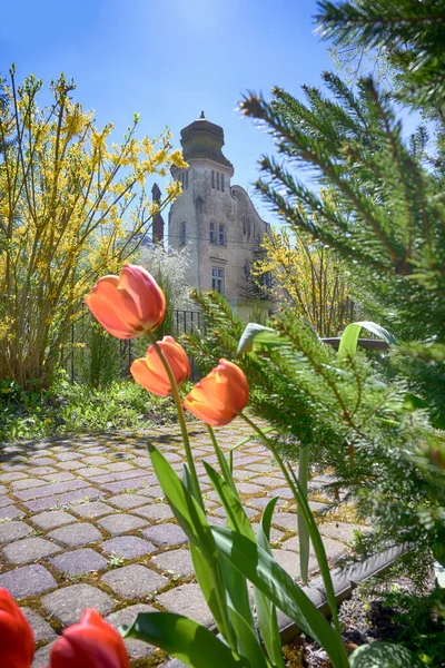 Lviv Şehri Bahar mevsiminde Eski Mimarlık