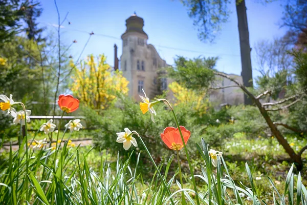 Lviv Şehri Bahar mevsiminde Eski Mimarlık