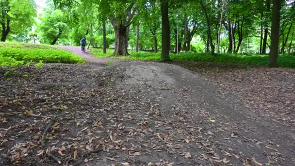 Cavalier amateur sur le vélo dans le parc de printemps — Video