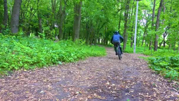 春の公園の自転車に乗っているアマチュアライダー — ストック動画