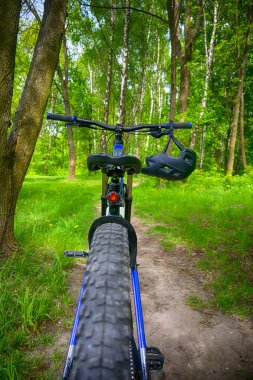 Bahar parkında bisiklet süren amatör bir binici.