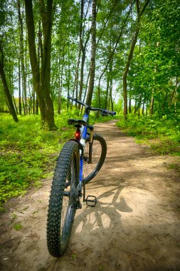 Bahar parkında bisiklet süren amatör bir binici.