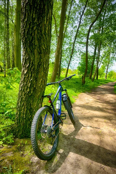 Amador Cavaleiro Bicicleta Parque Primavera — Fotografia de Stock