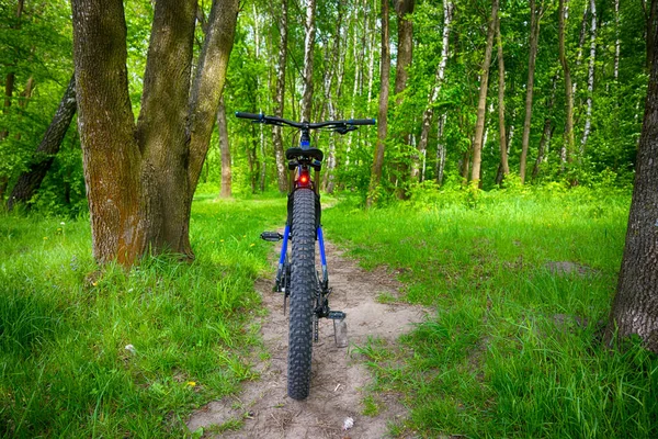 Bahar Parkında Bisiklet Süren Amatör Bir Binici — Stok fotoğraf