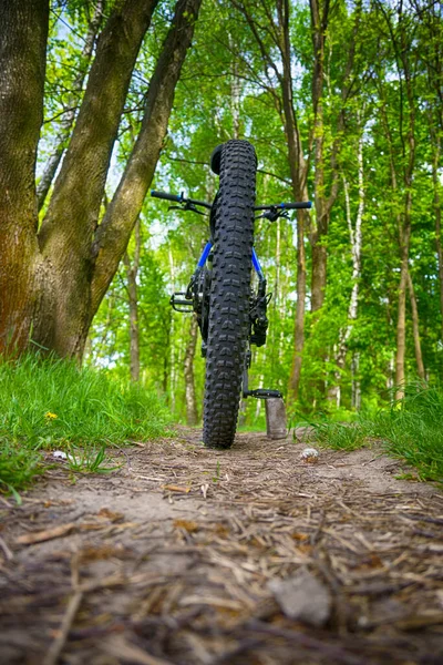 Amatör Ryttare Cykeln Vårparken — Stockfoto