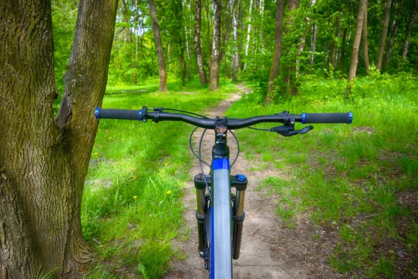 Bahar Parkında Bisiklet Süren Amatör Bir Binici — Stok fotoğraf