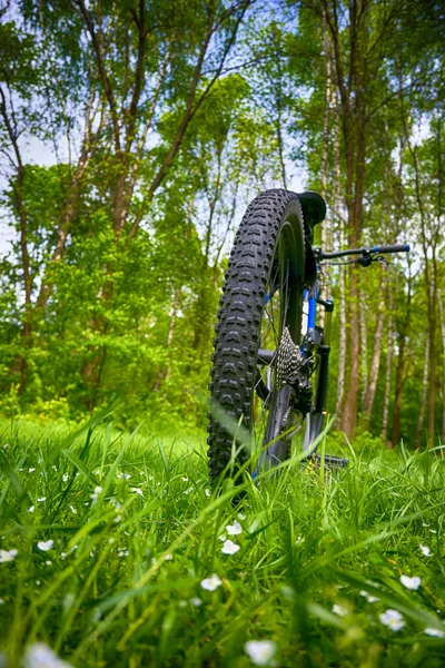 Amatör Ryttare Cykeln Vårparken — Stockfoto